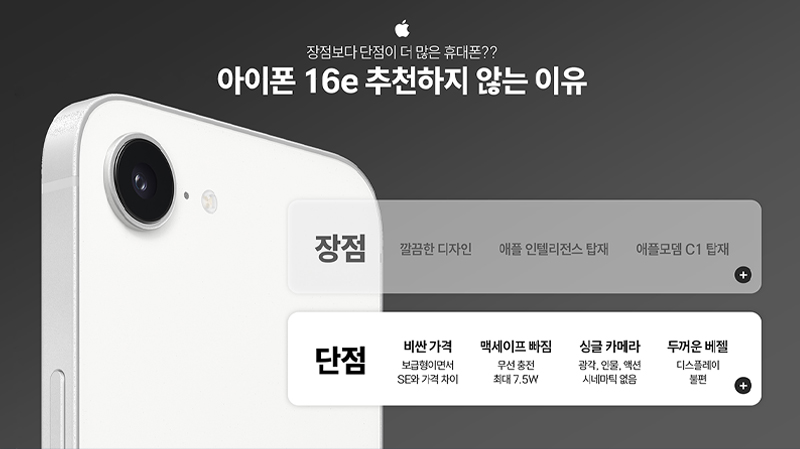 레퍼런스 446.jpg