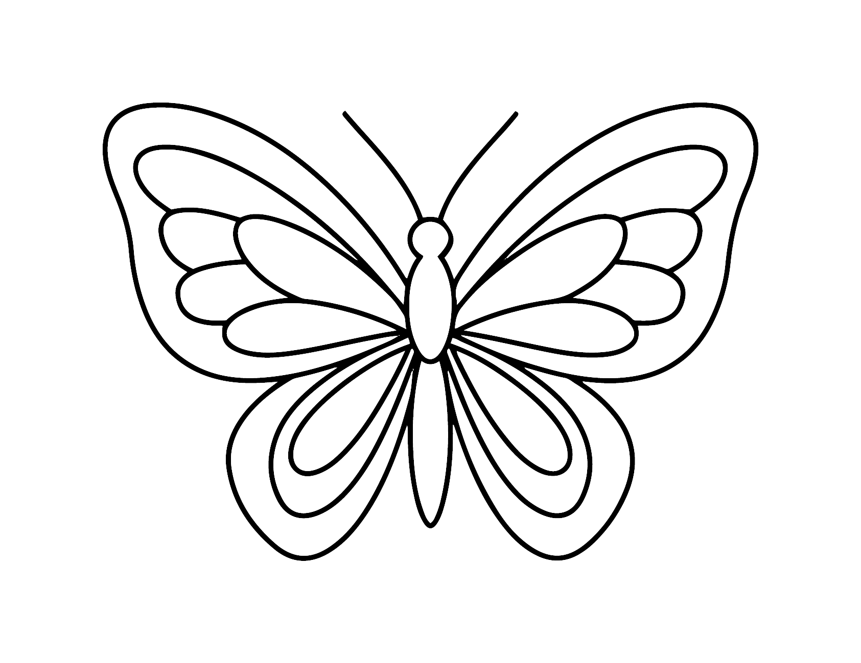 나비_pad200.png