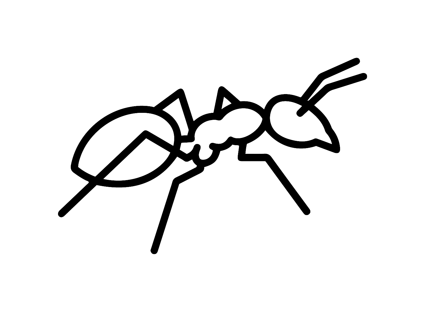 개미_pad200.png