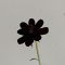 신한솔4532